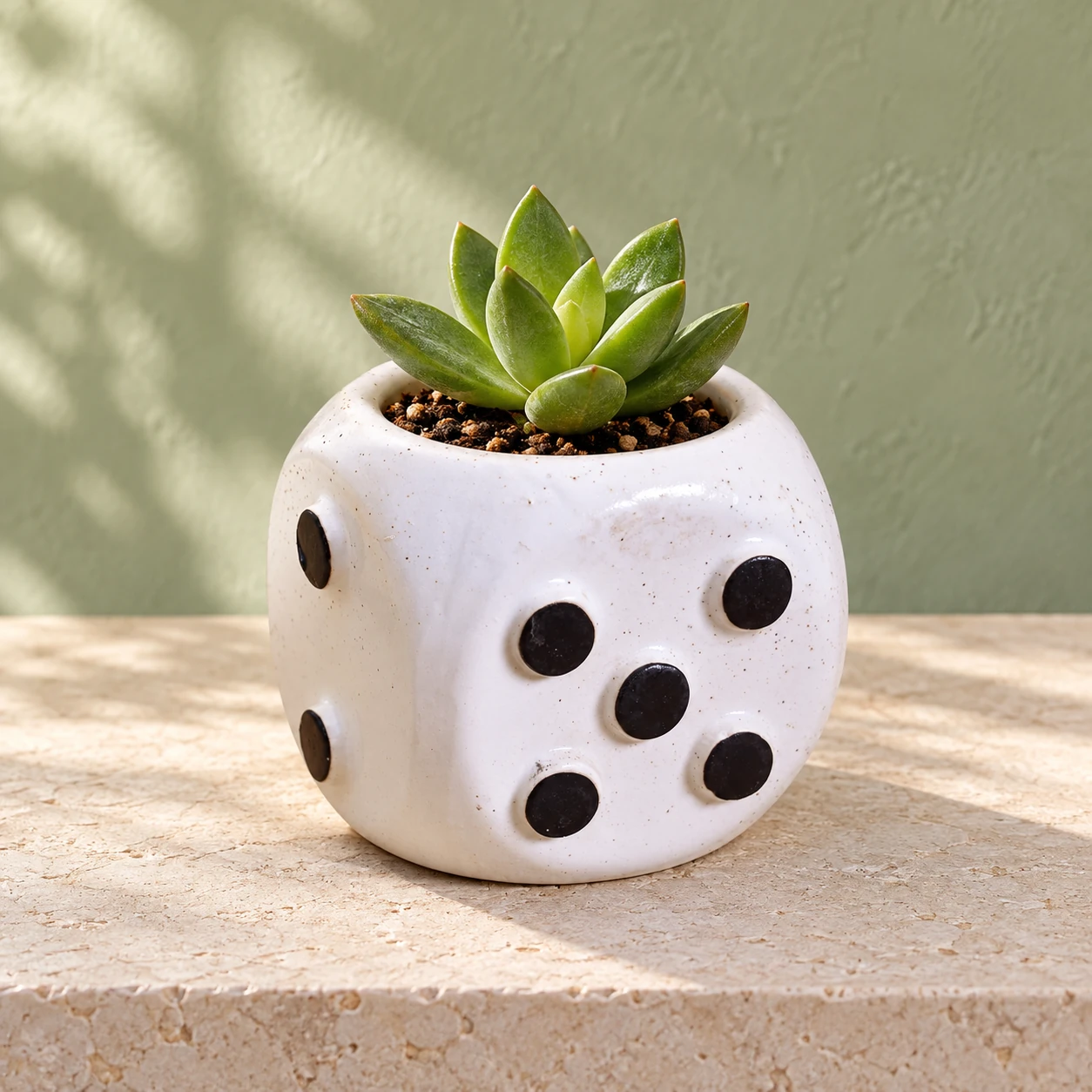 Plant Cachepots