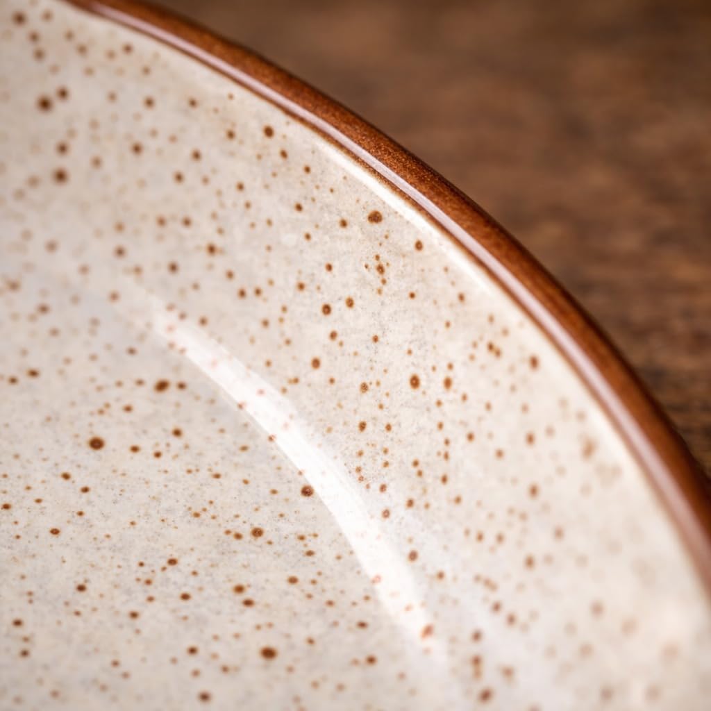 Kunhar Ceramic Dinner Plates 10 Inch Set of 2 | Rustic Ivory Speckled Finish | Premium Glazed Stoneware | Microwave & Dishwasher Safe | Serving Plates for Dinner, Pasta & Salad - Image 4