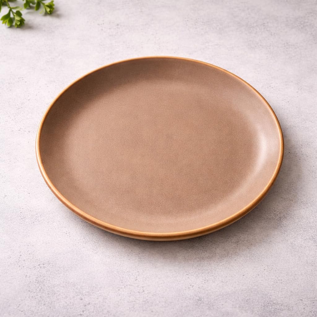 Kunhar Ceramic Dinner Plate 10 Inch | Rustic Ivory Speckled Finish with Brown Rim | Premium Glazed Stoneware | Microwave & Dishwasher Safe, Pack of 1 — detail view 2