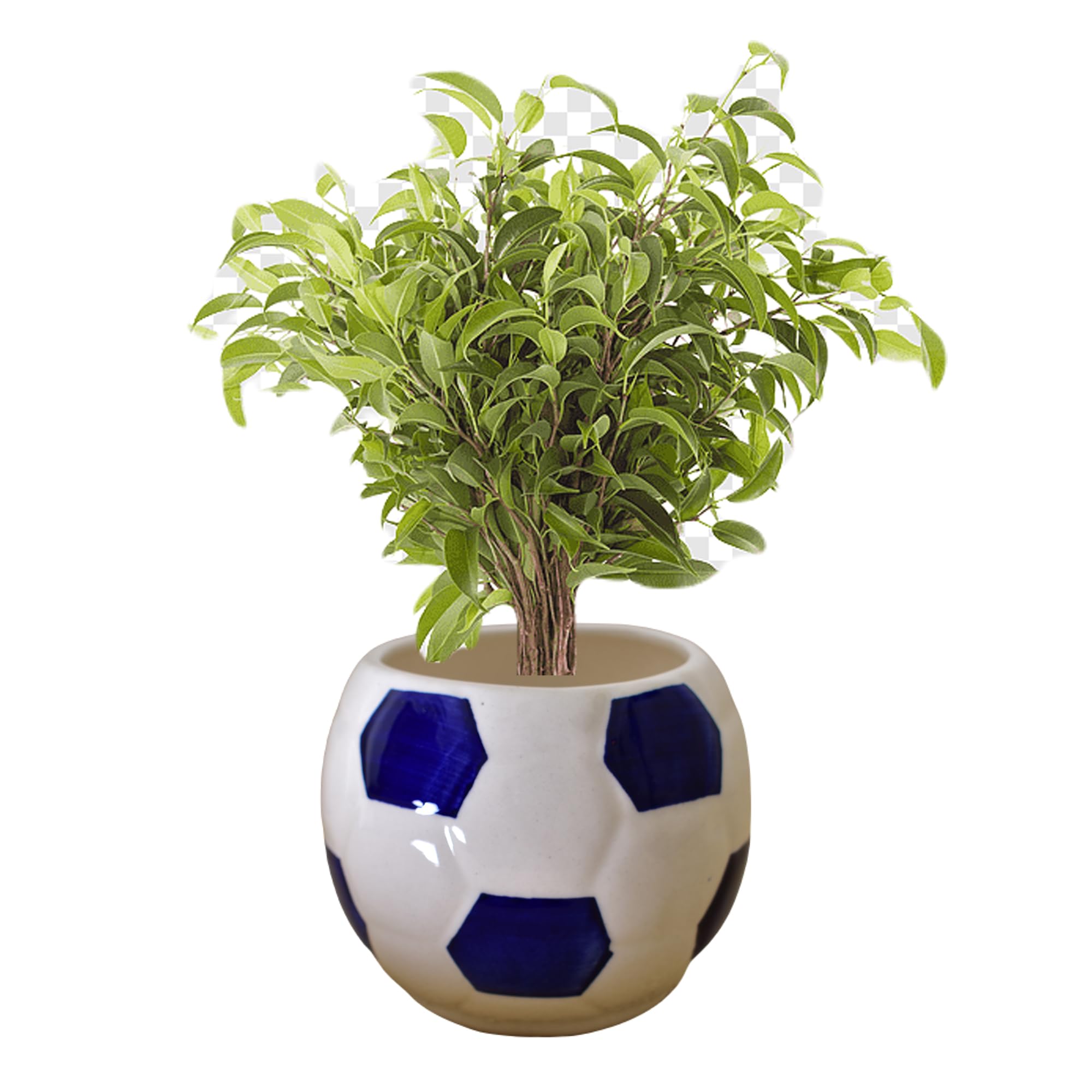 Kunhar Ceramic Football Planter, Football Shape Flower Pot, Without Plant, White Blue - Image 5