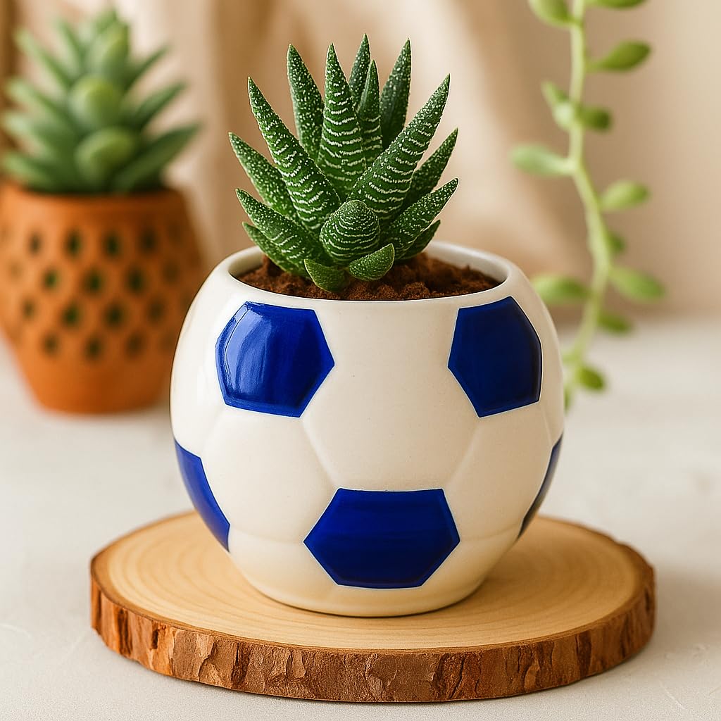 Kunhar Ceramic Football Planter, Football Shape Flower Pot, Without Plant, White Blue - Image 4