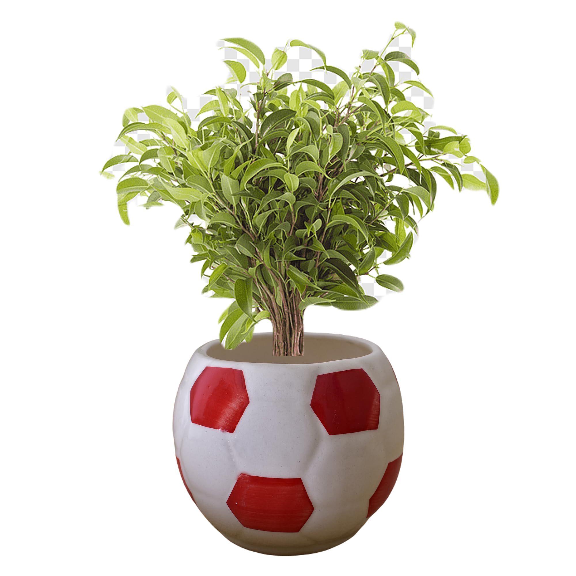 Kunhar Ceramic Football Planter, Football Shape Flower Pot, Without Plant, White Red - Image 6