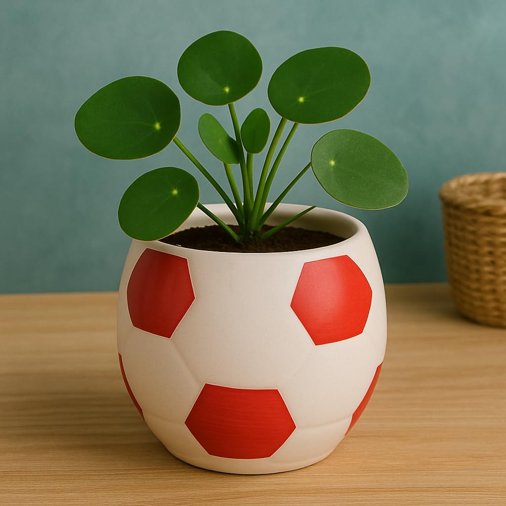 Kunhar Ceramic Football Planter, Football Shape Flower Pot, Without Plant, White Red