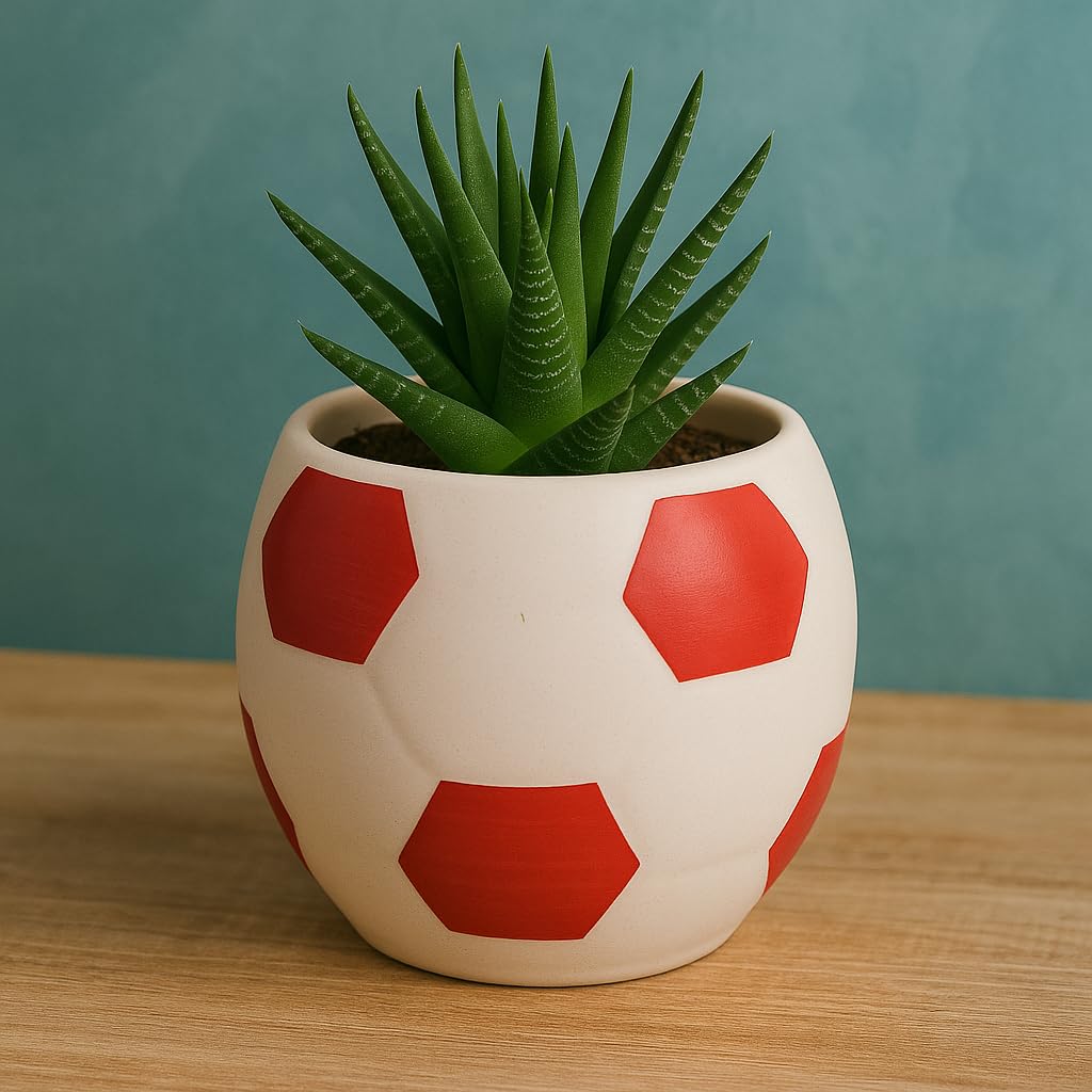 Kunhar Ceramic Football Planter, Football Shape Flower Pot, Without Plant, White Red - Image 4