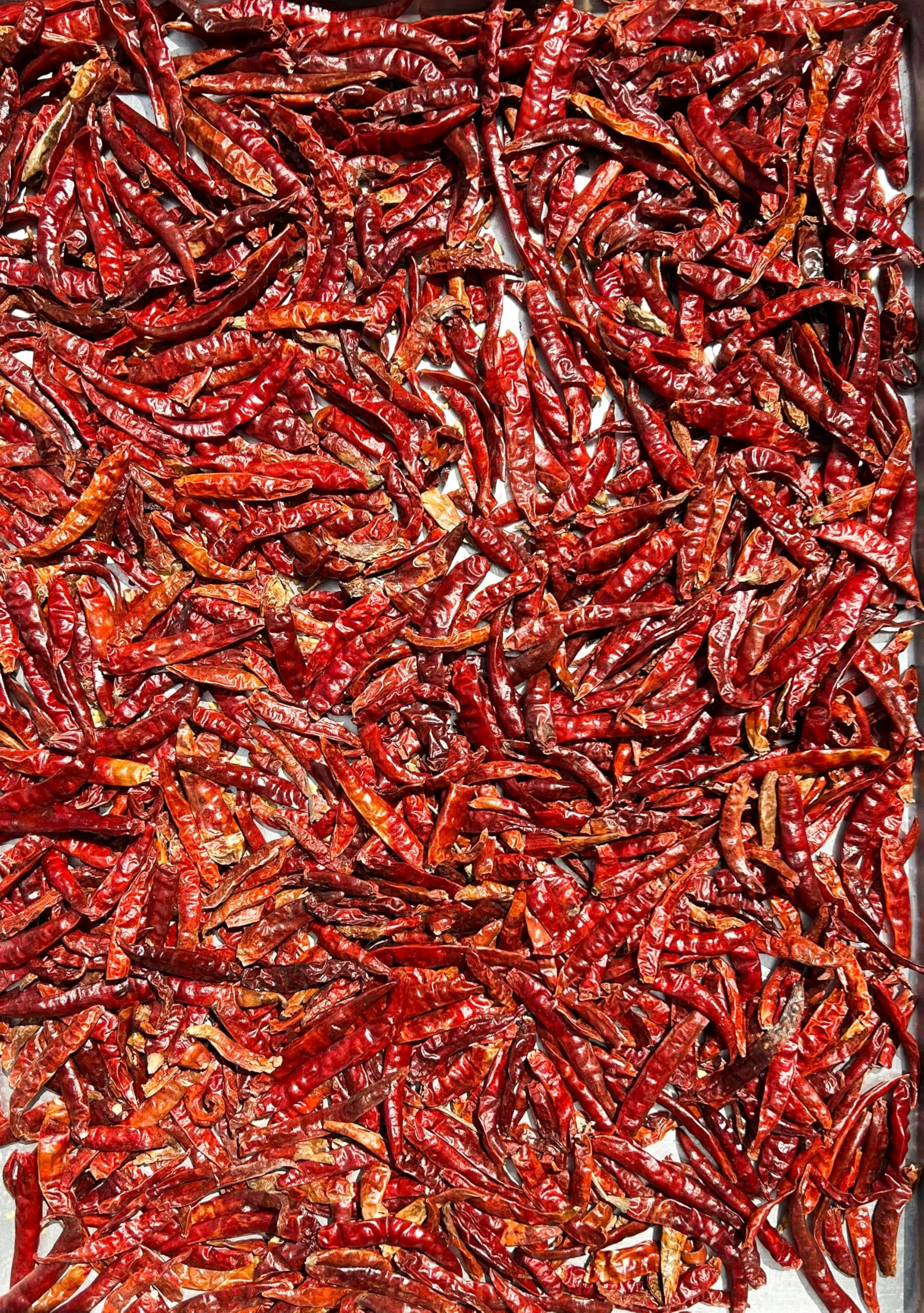 KunhaR Masala Extra Spicy Whole Red Chili – Sabut Teekhi Lal Mirch – (Pack of 1, 350g) - Image 3